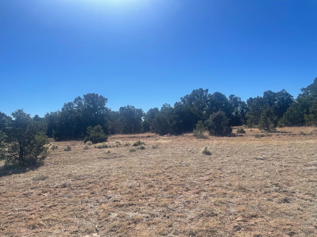  Ojo De La Vaca, Santa Fe Property Listing MLS® 202341600