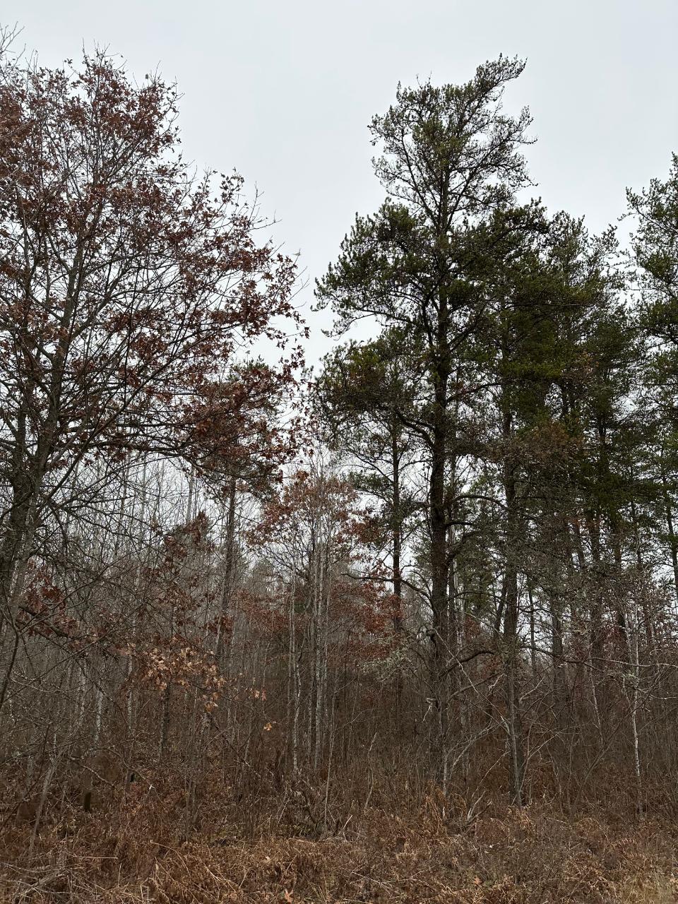 On Swamp Lake Rd 406926, Tomahawk, WI MLS 204766