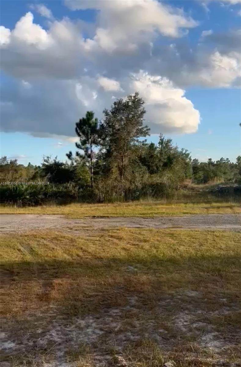 423 Gaillardia, Lake Wales
