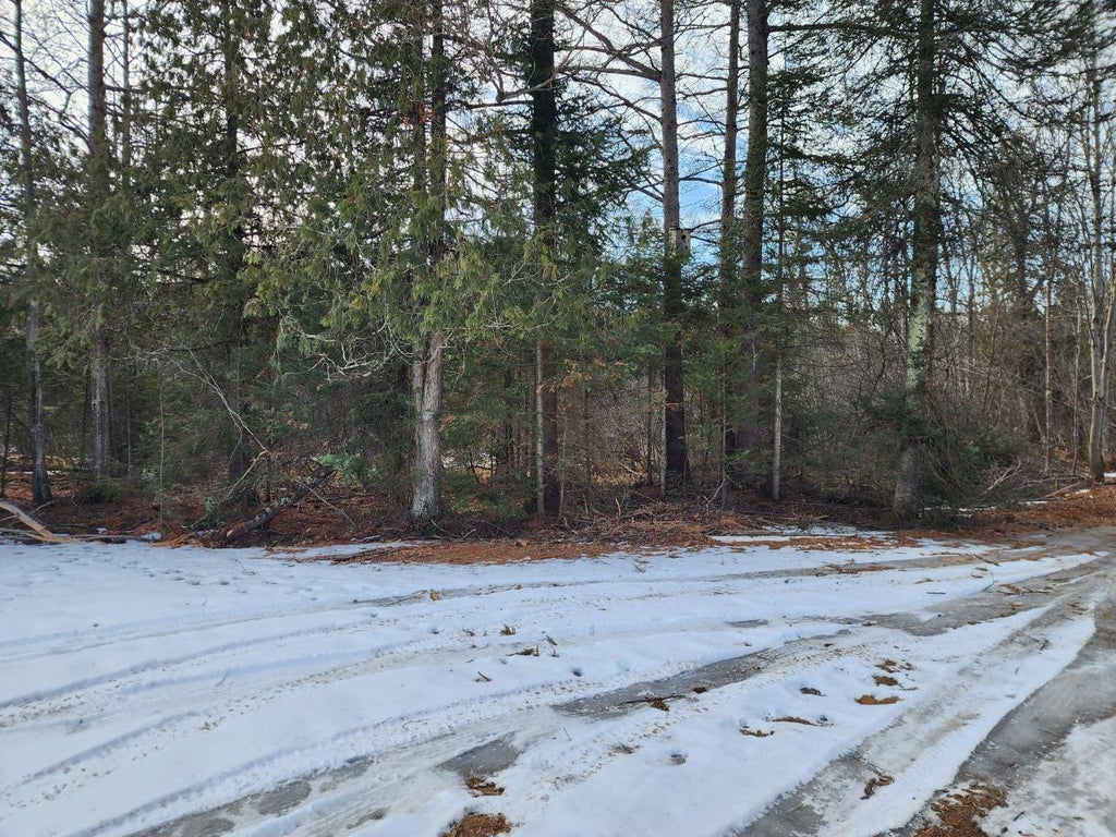 On Pine Lake Rd W, Hiles MLS 205563