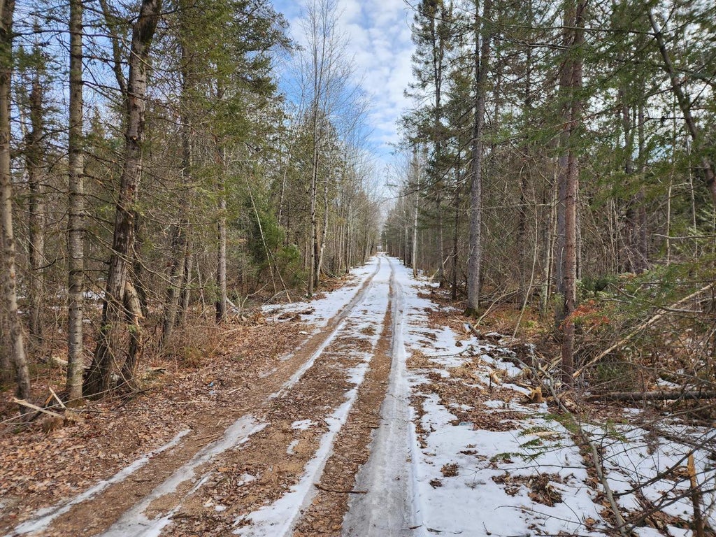 On Pine Lake Rd W, Hiles MLS 205563