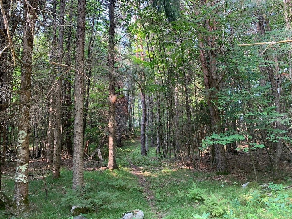 2.50 Ac Turtle Flambeau Dam Rd, Mercer MLS 206067