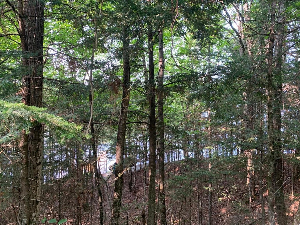 2.50 Ac Turtle Flambeau Dam Rd, Mercer MLS 206067