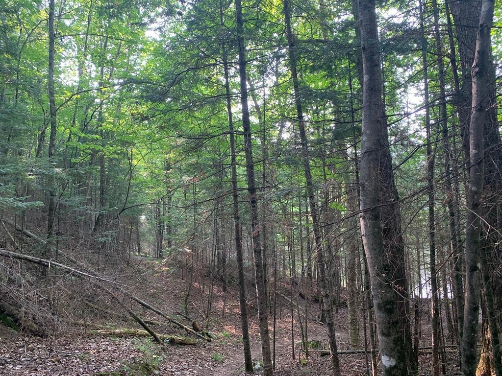 2.50 Ac Turtle Flambeau Dam Rd, Mercer MLS 206067