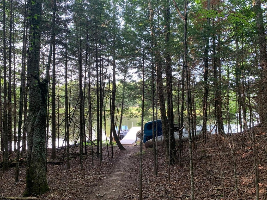 2.50 Ac Turtle Flambeau Dam Rd, Mercer MLS 206067