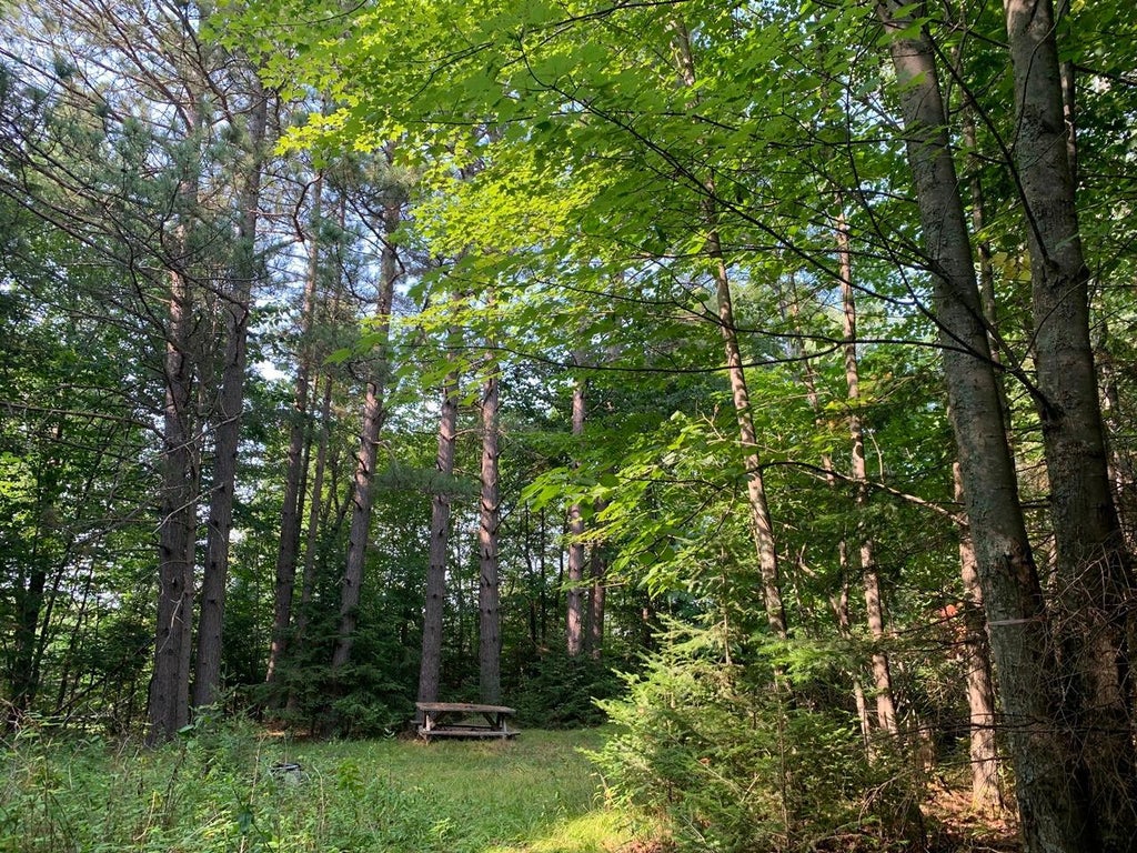 2.50 Ac Turtle Flambeau Dam Rd, Mercer MLS 206067