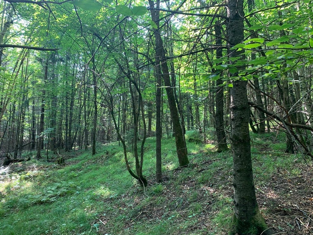 2.50 Ac Turtle Flambeau Dam Rd, Mercer MLS 206067