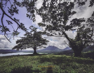 Photo of Listing #A11568968