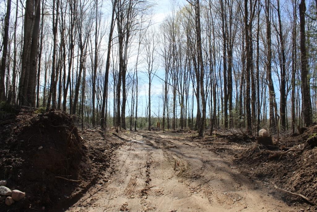 3121 Bradley Lake Rd, Crandon, WI MLS 206609