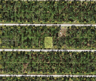 Photo of Listing #A11584902