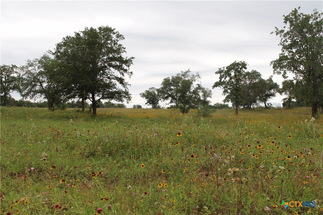 Tbd Twin Creeks on in Seguin Property Listing MLS® 544188