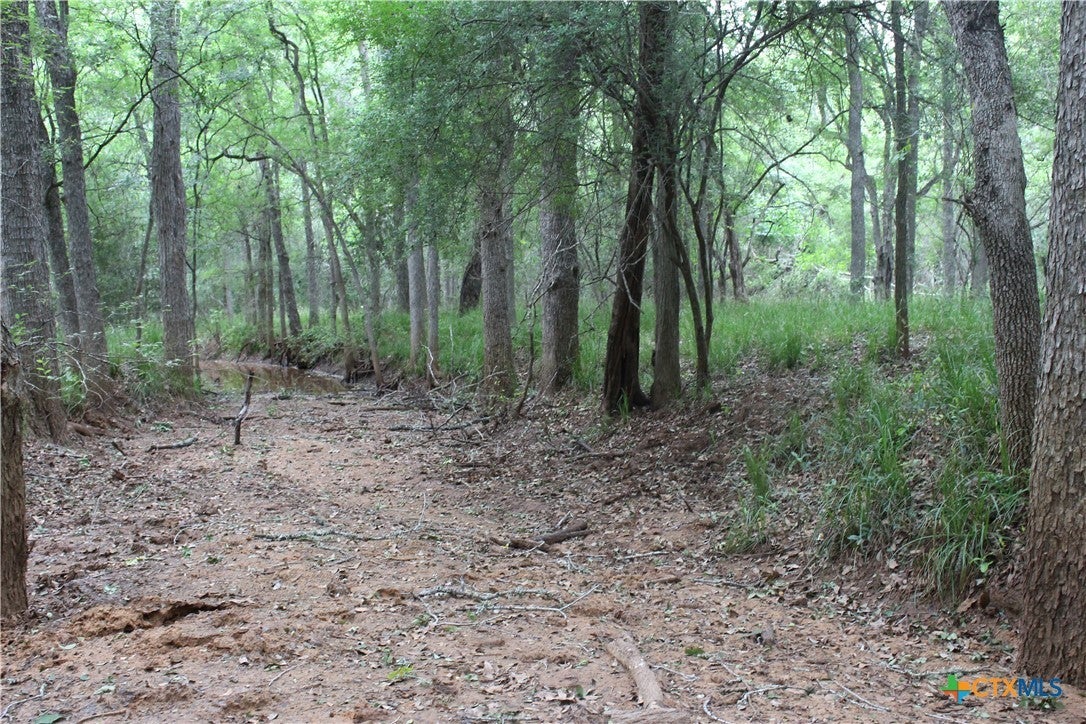 Tbd Twin Creeks on in Seguin Property Listing MLS® 544188