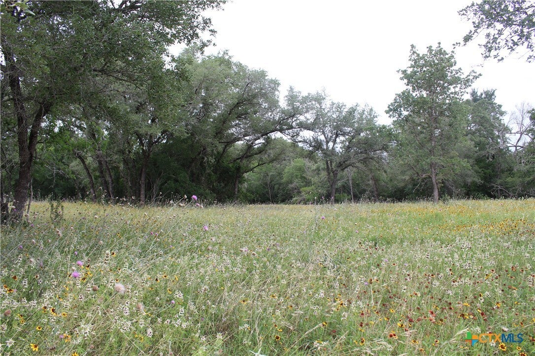 Tbd Twin Creeks on in Seguin Property Listing MLS® 544188