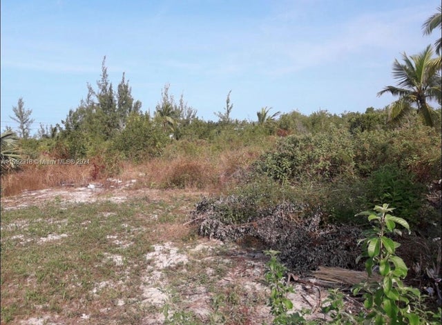 5 of 39 - Doctors Creek Jposiah Tantails, Long Island Bahamas, , 