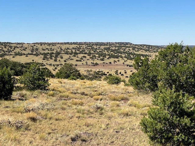 Lots 2&5 78.36 Acres, Quemado