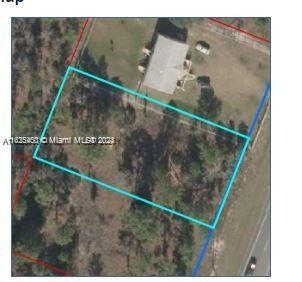 Photo of Listing #A11625450