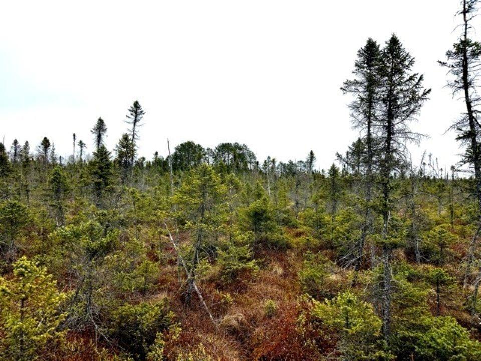 Off Jacks Rd, Phillips