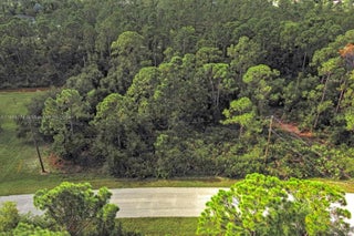 Photo of Listing #A11665776