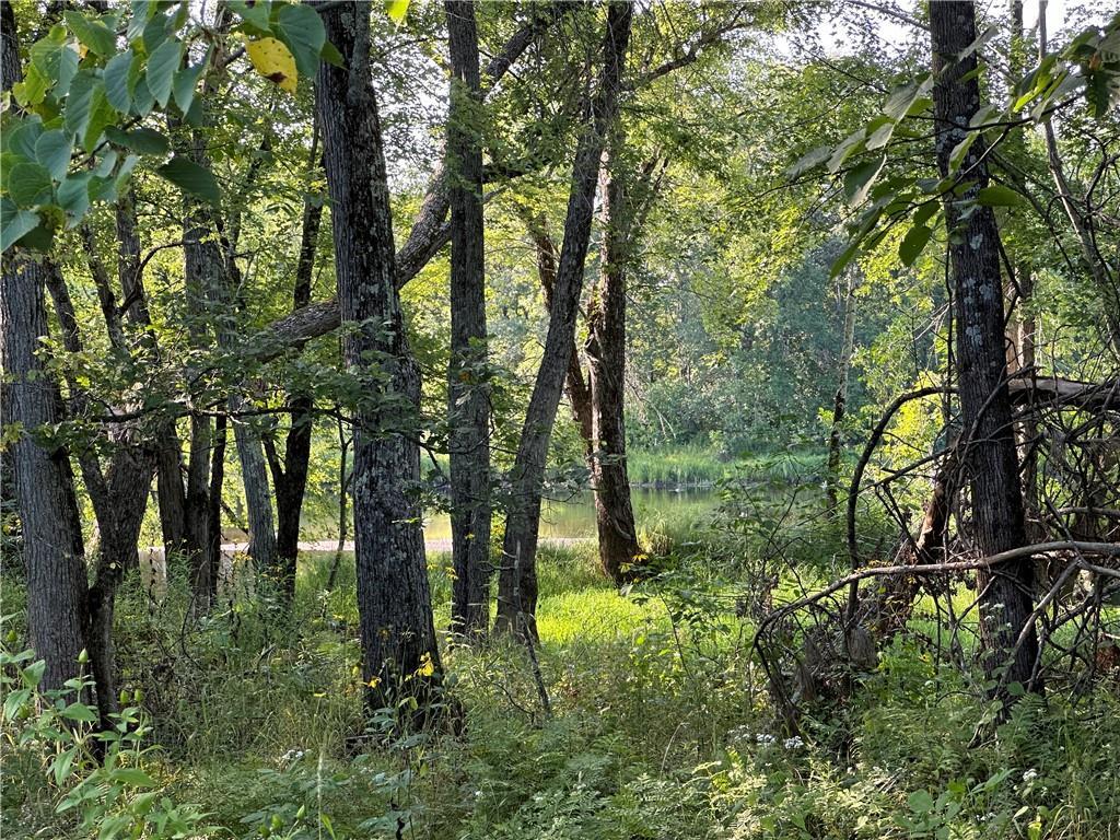 12609 W Mcdonald Road, Bruce MLS 1586124