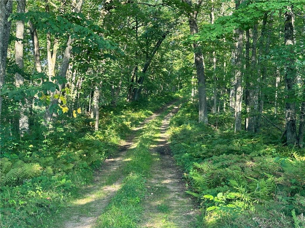 12609 W Mcdonald Road, Bruce MLS 1586124