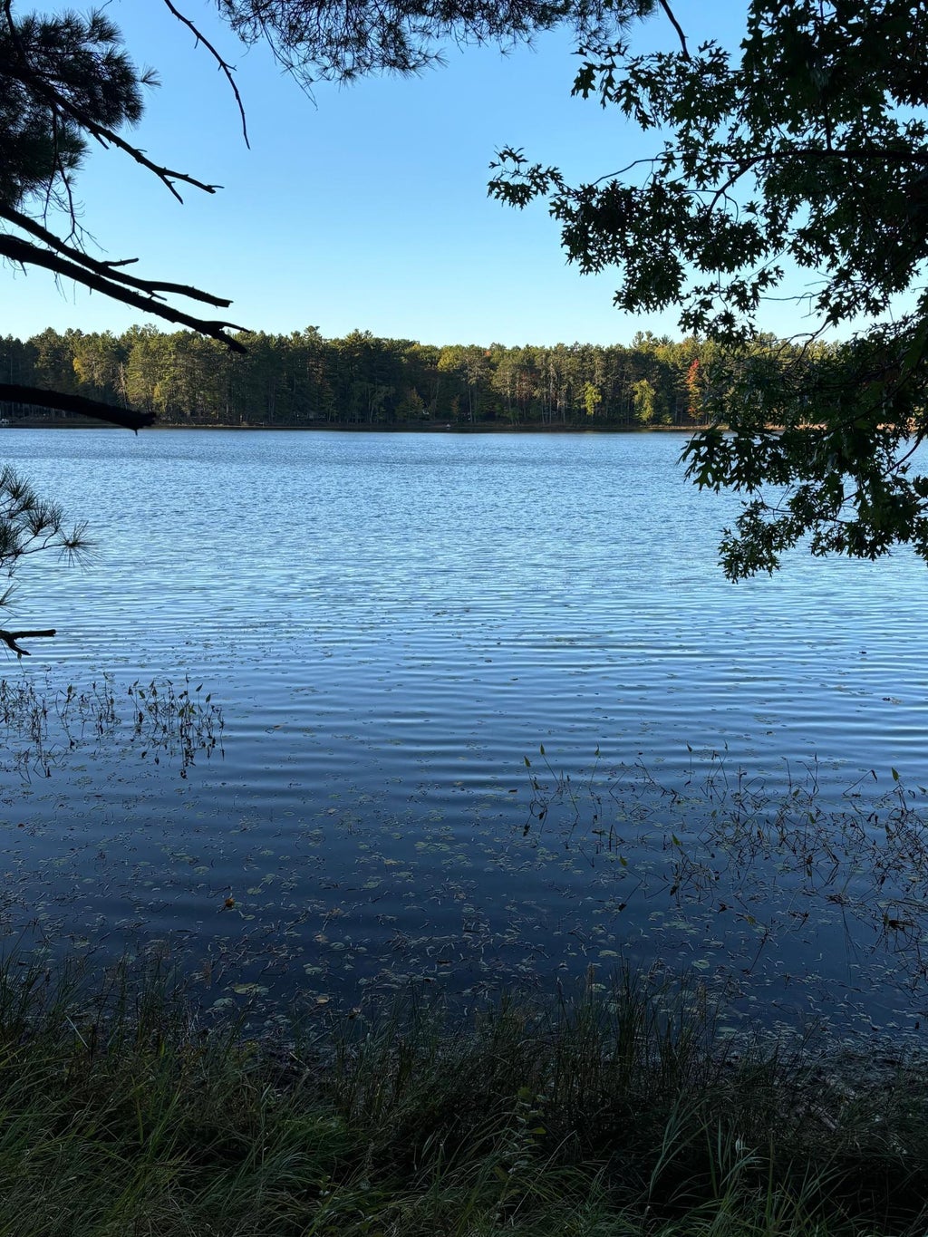 Lot 4&5 Little Pond Ln, Minocqua MLS 209378