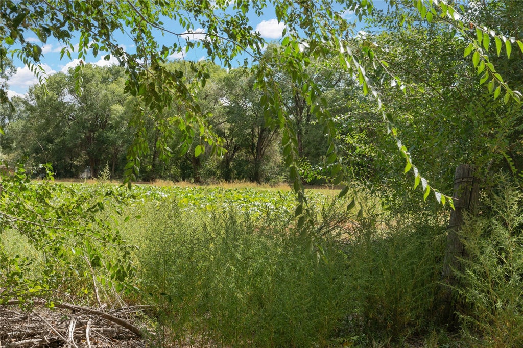 Wallace Lane, Corrales Property Listing MLS® 202404267