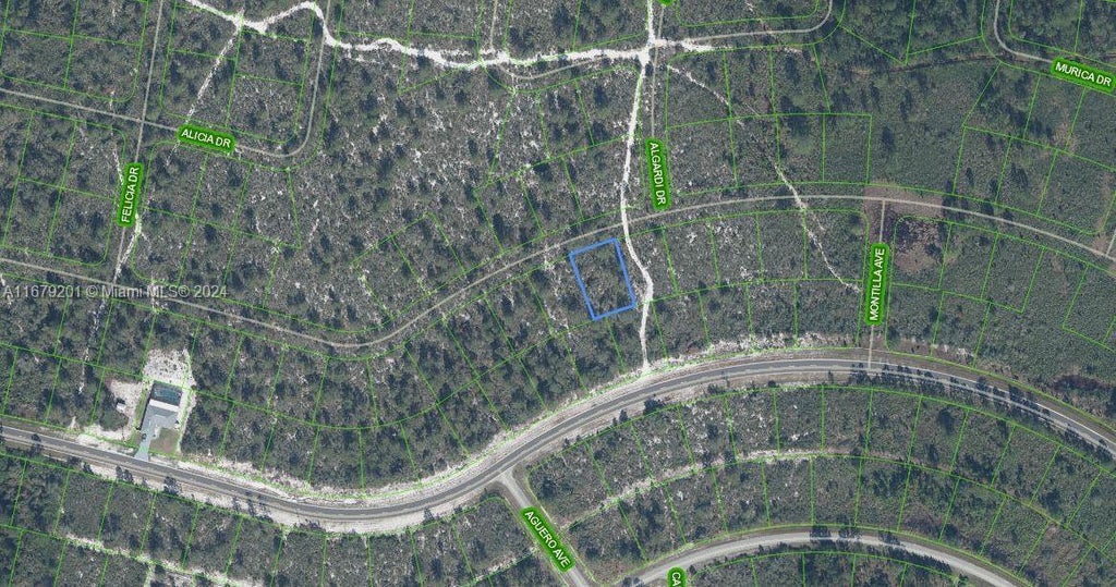 7651 Rosebud Drive, Sebring