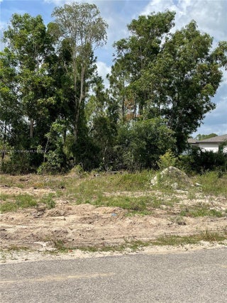 Photo of Listing #A11679225