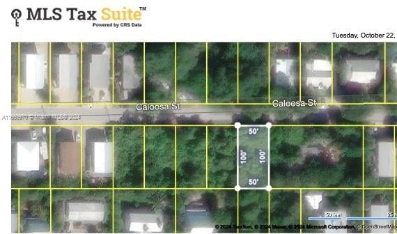 3 of 3 - Lot 32 Caloosa St, Sugarloaf, FL