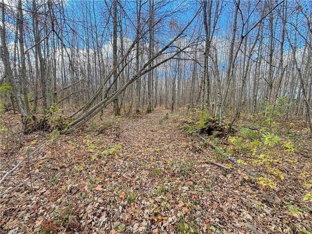 2711 15th Avenue, Rice Lake MLS 1586844