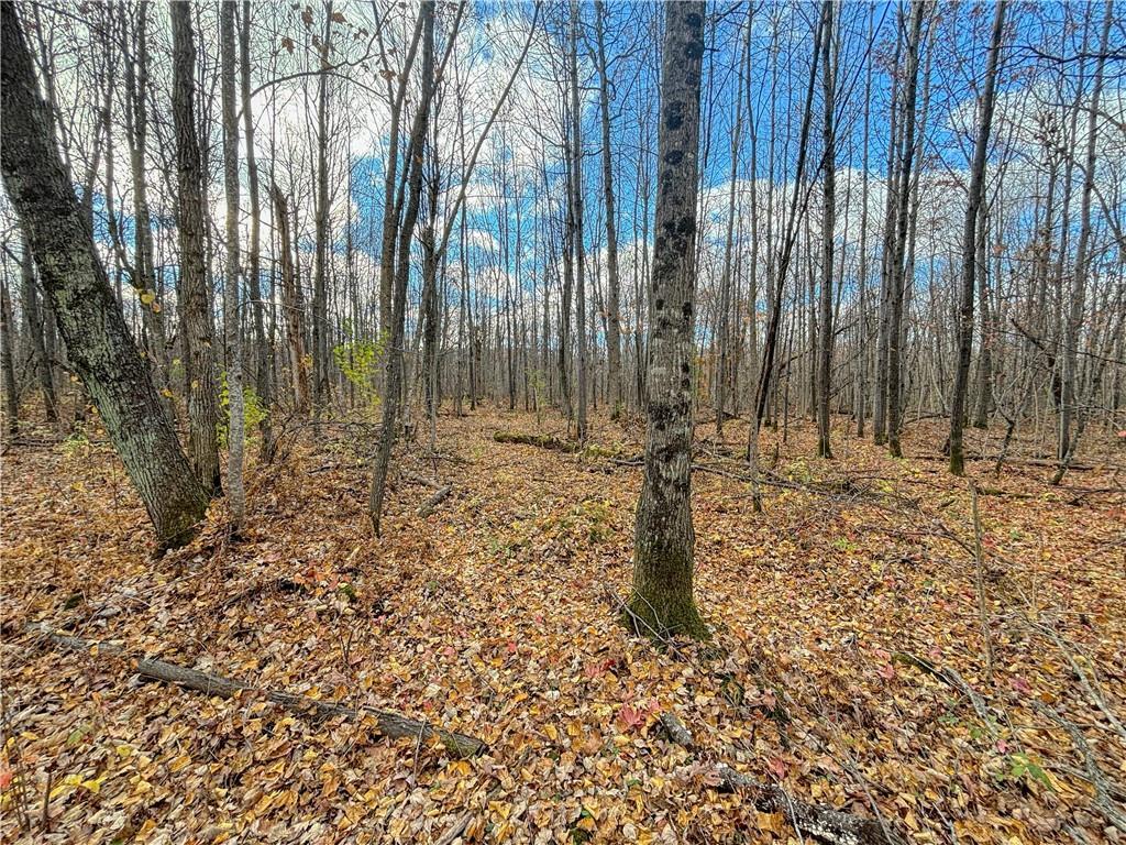 2711 15th Avenue, Rice Lake MLS 1586844