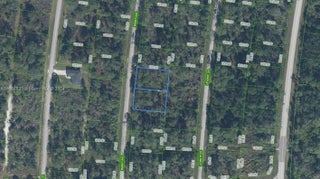 Photo of Listing #A11687629