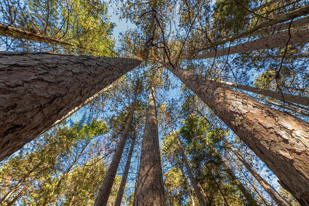 Lot 18 The Point Rd W, Tomahawk