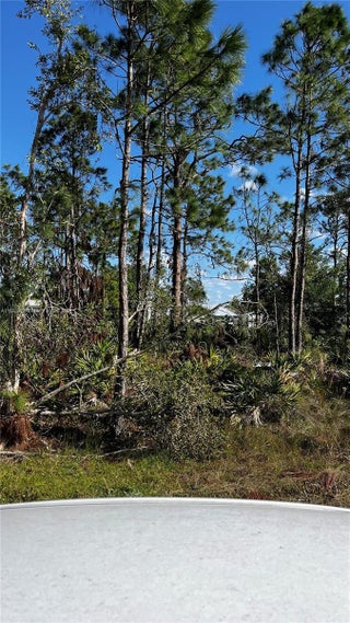 Photo of Listing #A11692970