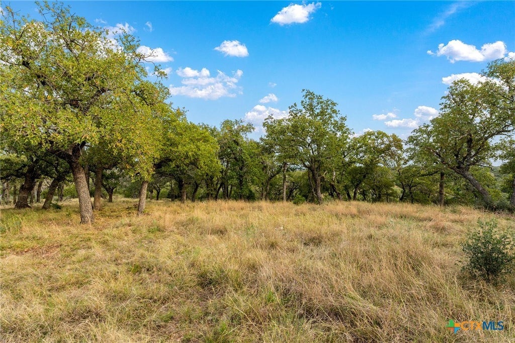 Lot 94 Rocky Hollow, San Saba