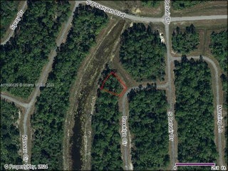 Photo of Listing #A11696629