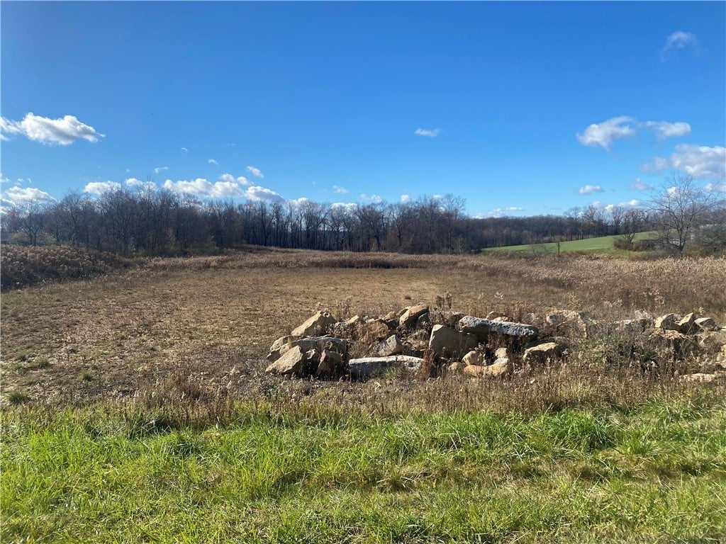 280 Spithaler School Road, Evans City Boro