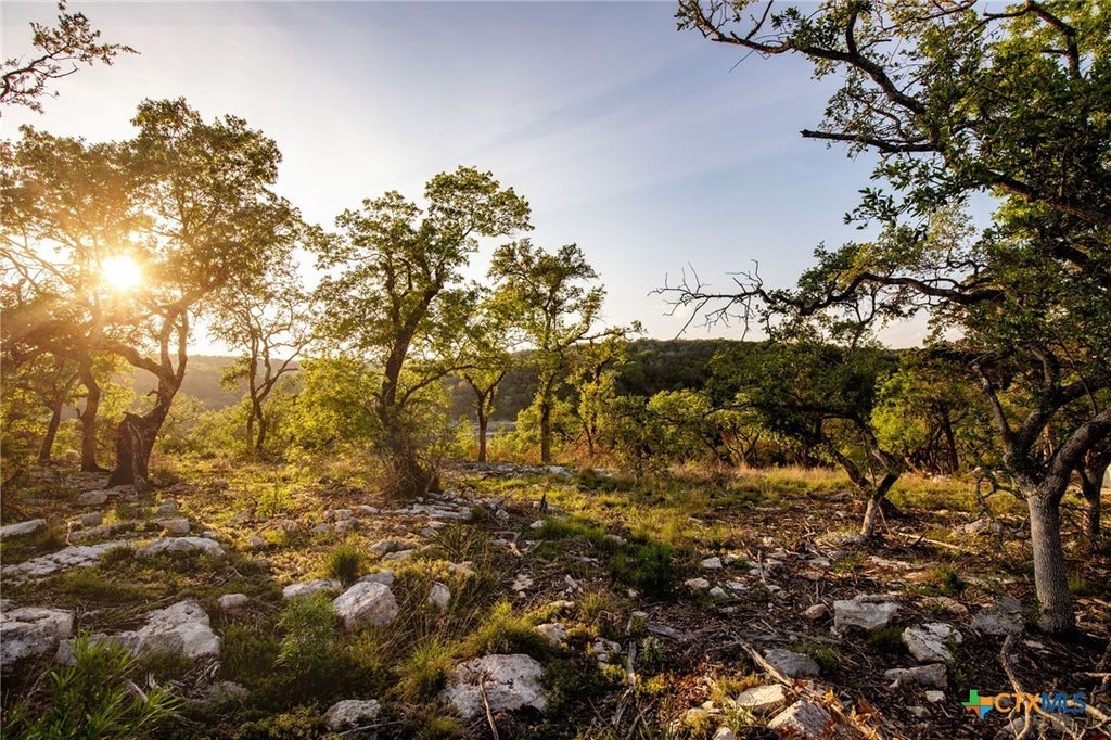 1333 Powder Ridge Road, New Braunfels