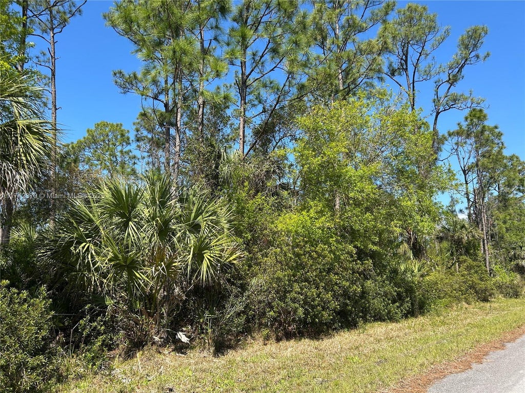 2393 Bendixen St, Port Charlotte