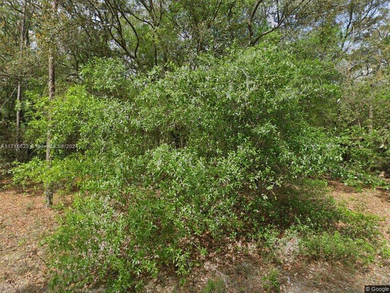 215 Wilson Av, Other