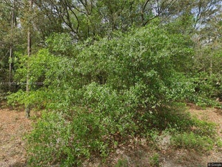 Photo of Listing #A11715623