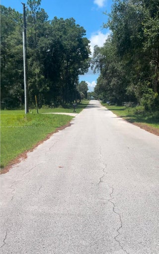 Photo of Listing #A11717997