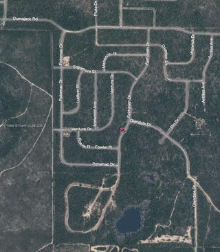 Photo of Listing #A11718689