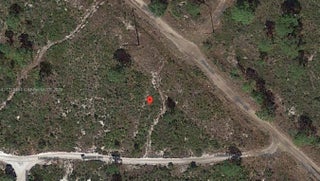 Photo of Listing #A11723594