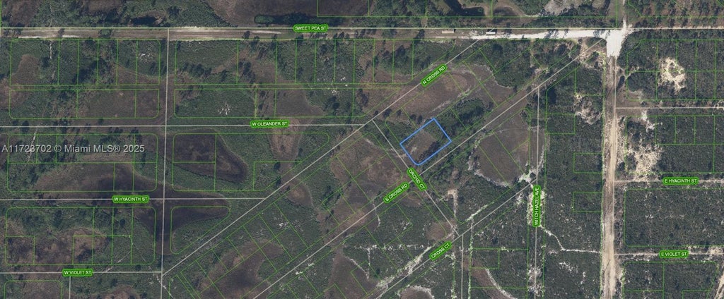 449 S Cross Road, Sebring