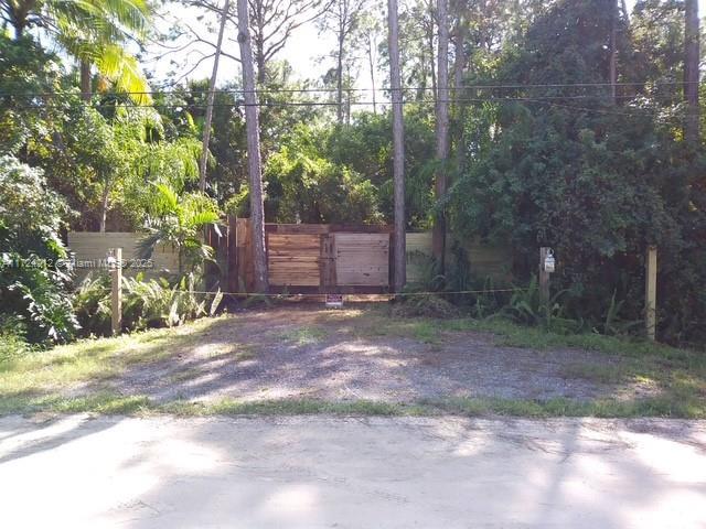Photo of Listing #A11724012