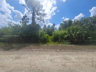 Photo of Listing #A11724806