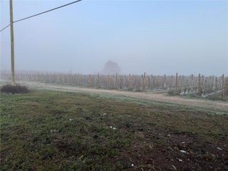 Photo of Listing #A11717349