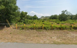 Photo of Listing #A11726361