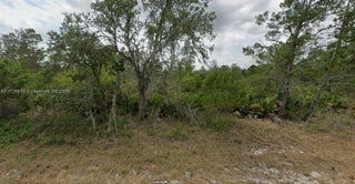 Photo of Listing #A11726608